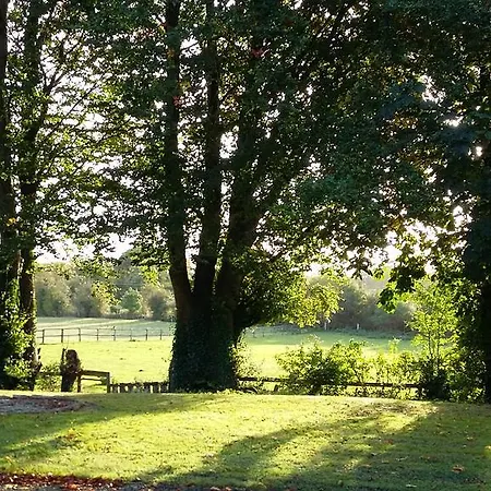 Rings Coach House Retreat Holiday home Carlow